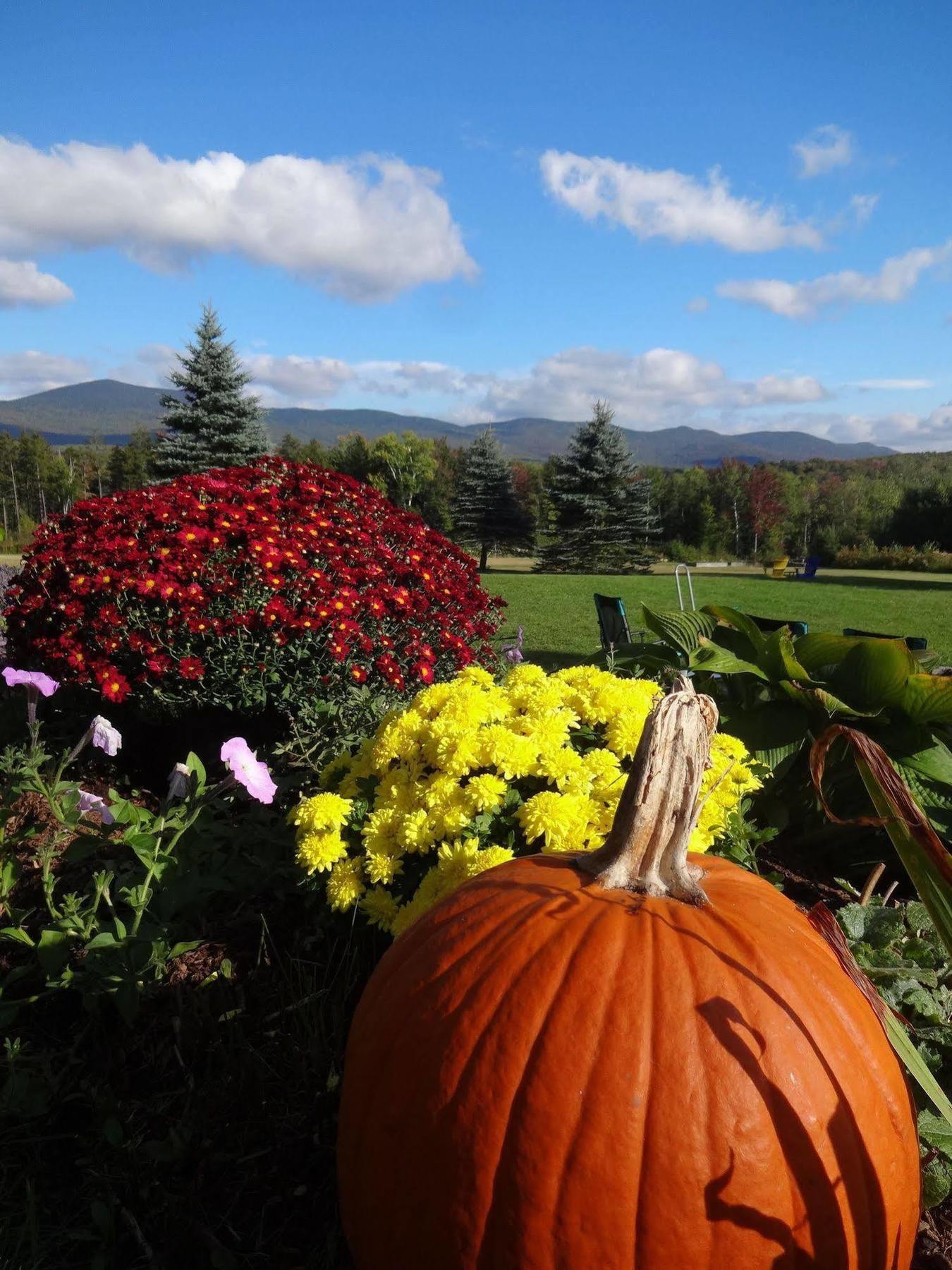 Robert Frost Mountain Cabins Middlebury Exterior foto